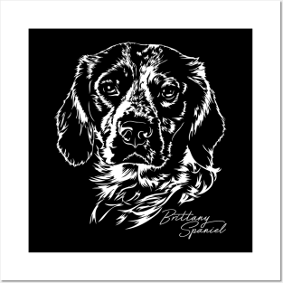 Brittany Spaniel dog portrait Posters and Art